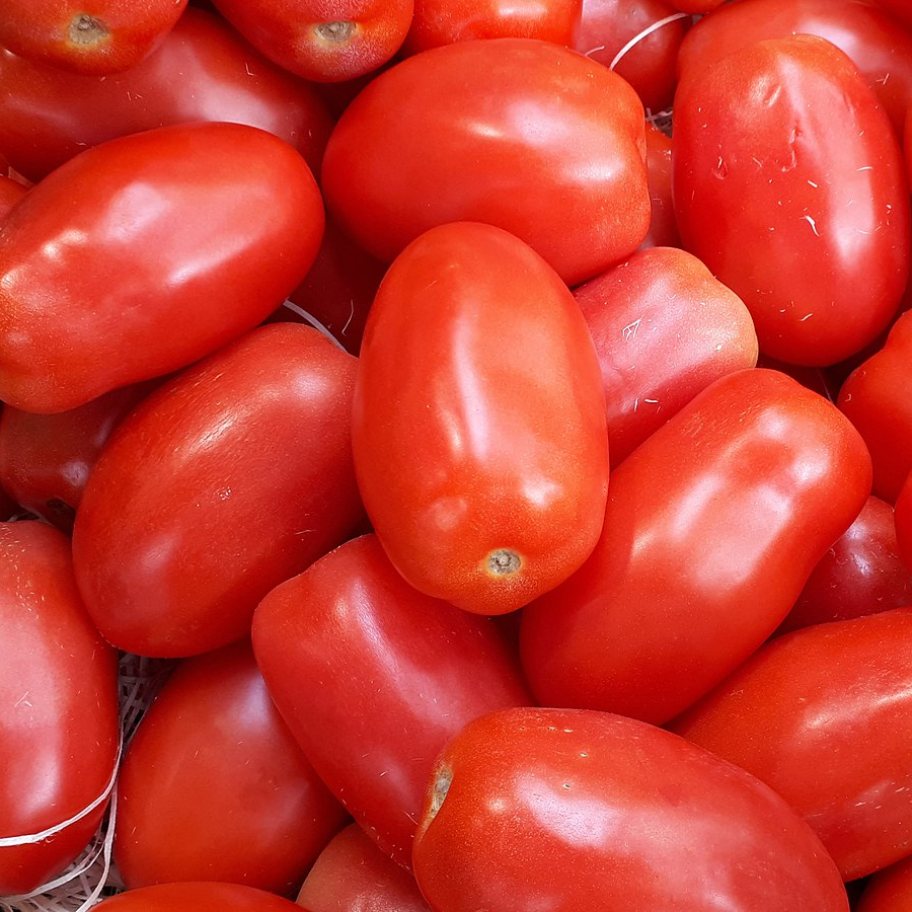 Resultado de imagen para tomates