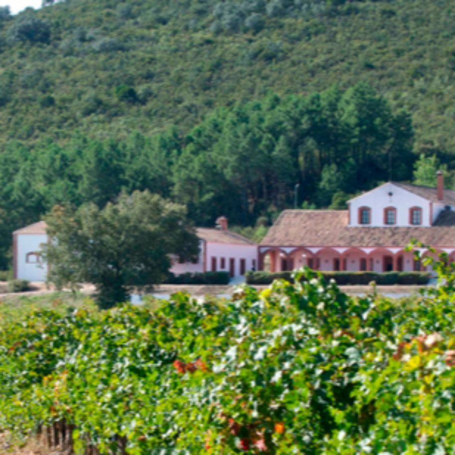 Dehesa del Carrizal (Chardonnay) VINO DE PAGO Colmenar Viejo Los