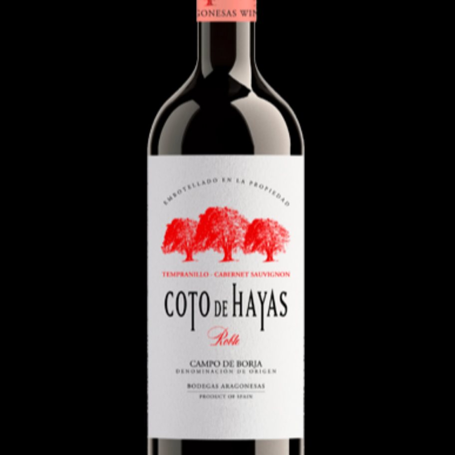 Coto de Hayas (Tempanillo & Cabernet) - CAMPO DE BORJA